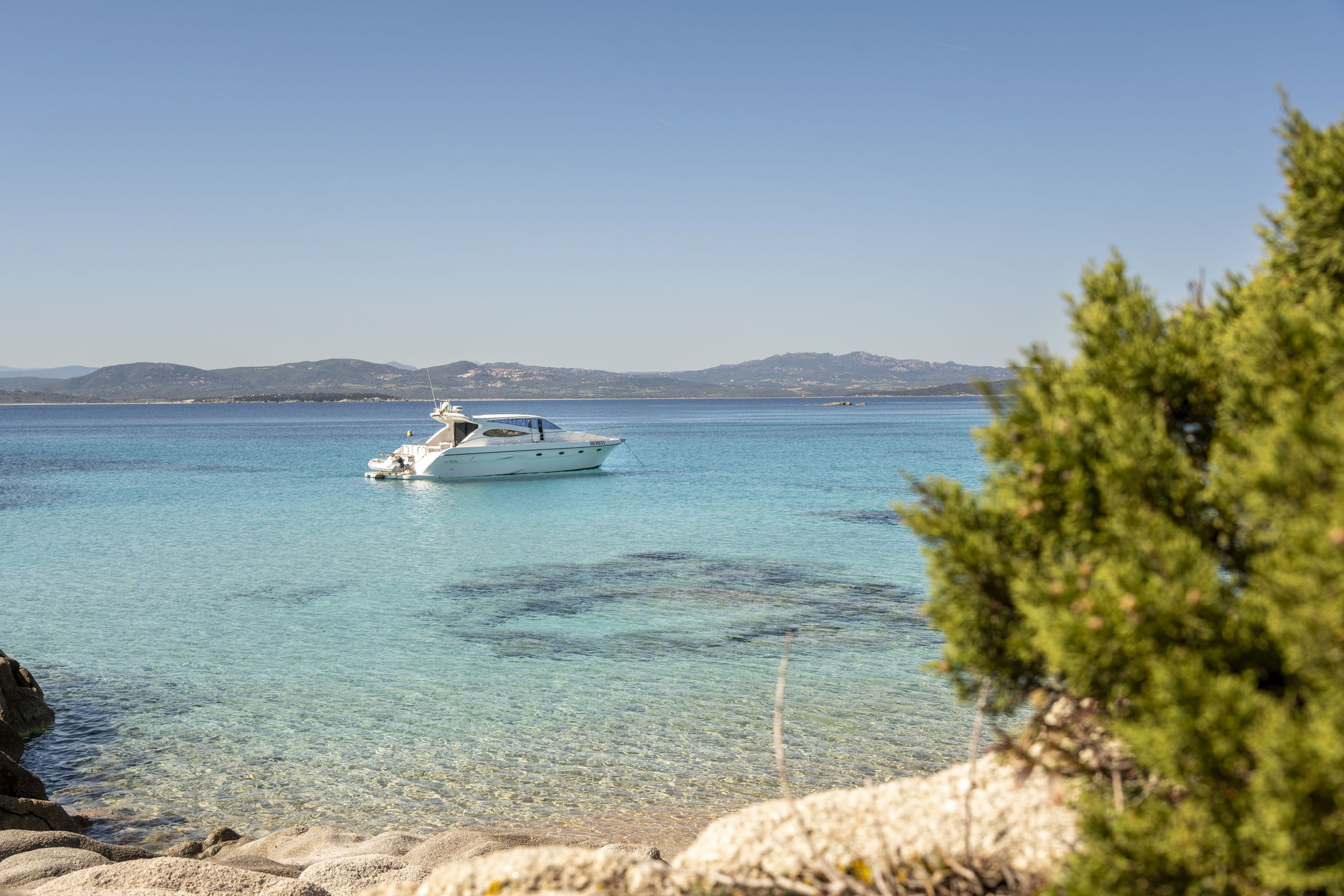 Dellapasqua DC 16 | Lululeo