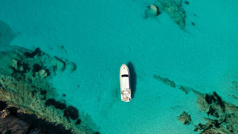 Dellapasqua DC 16 | Lululeo