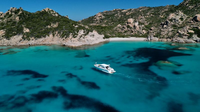 Dellapasqua DC 16 | Lululeo