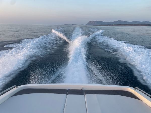 Tullio Abbate 42 | Artemis