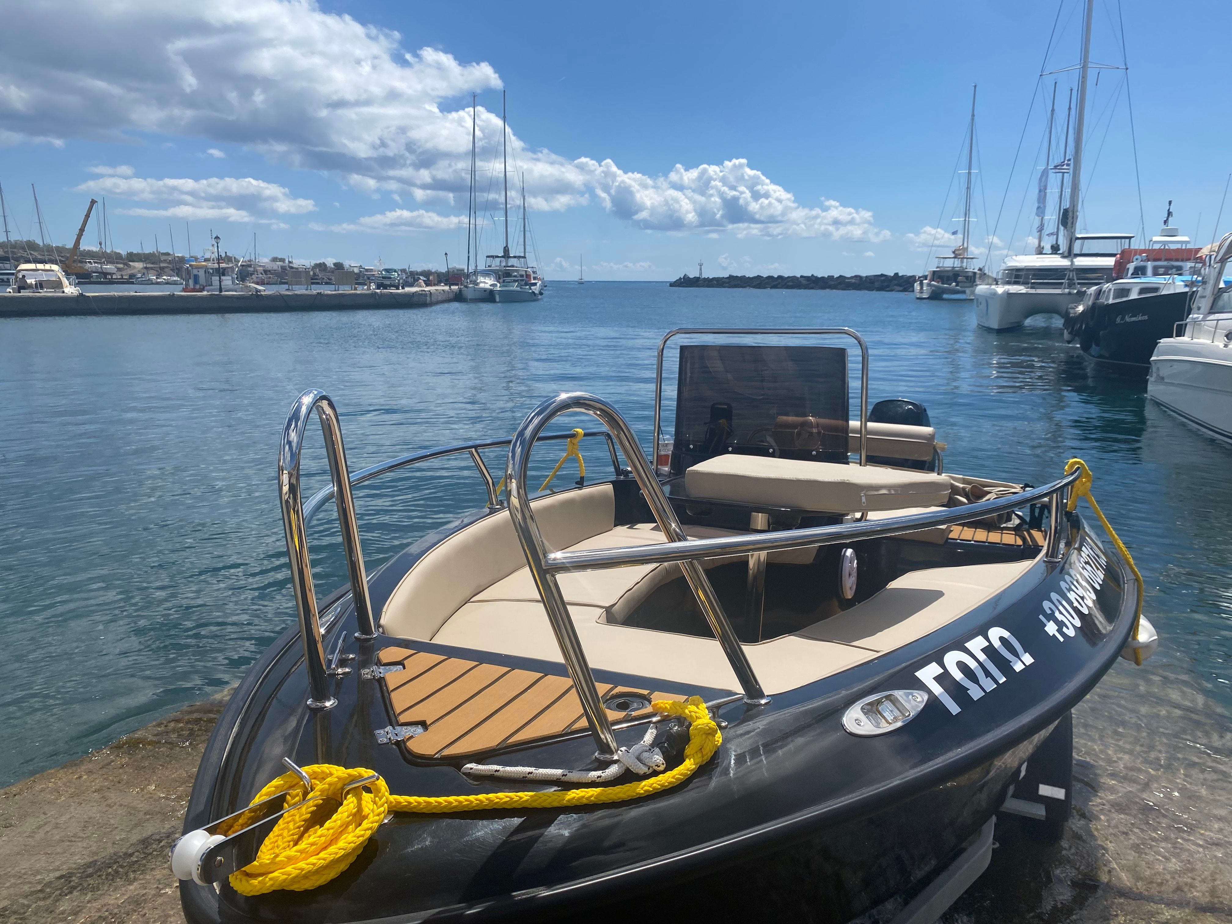 Isatek 495 Cobra | Gogo