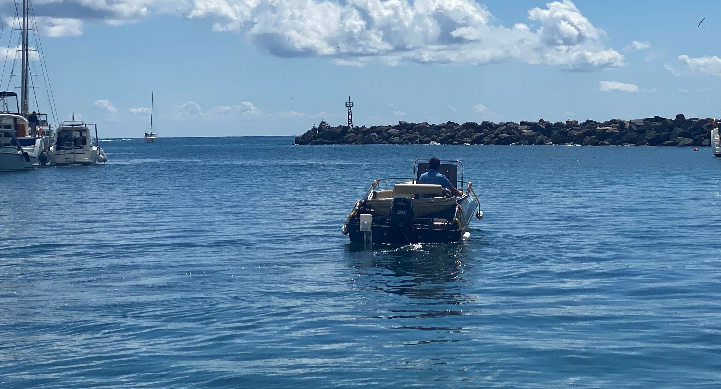 Isatek 495 Cobra | Gogo