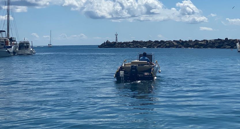 Isatek 495 Cobra | Gogo