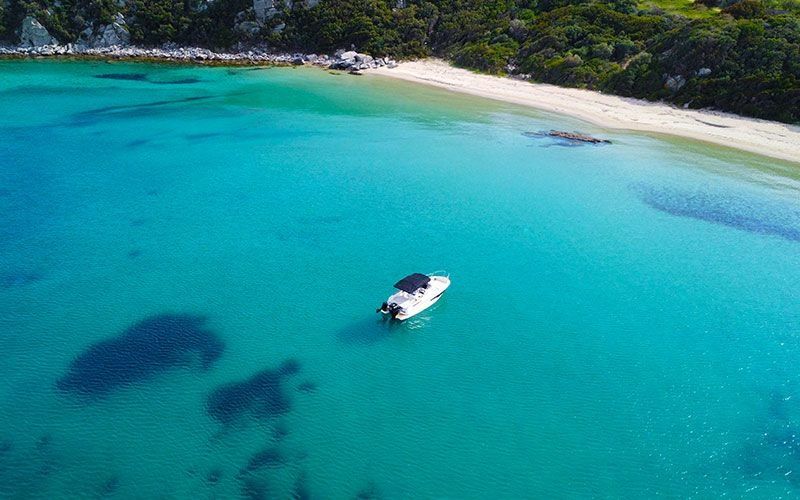 Karnic SL651 | Aelia