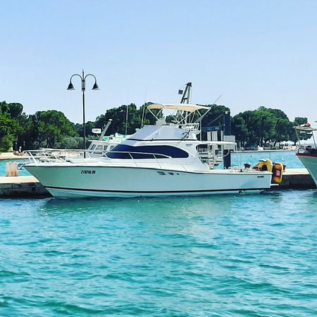 Luhrs 38 | Hemingway