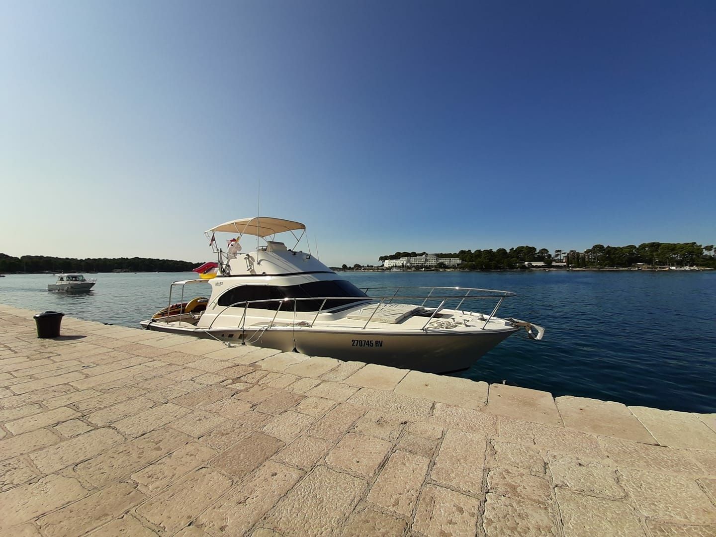 Luhrs 38 | Hemingway