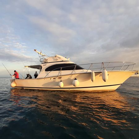 Luhrs 38 | Hemingway