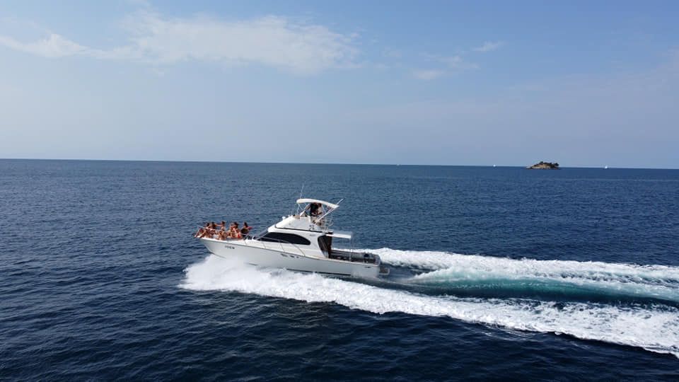 Luhrs 38 | Hemingway