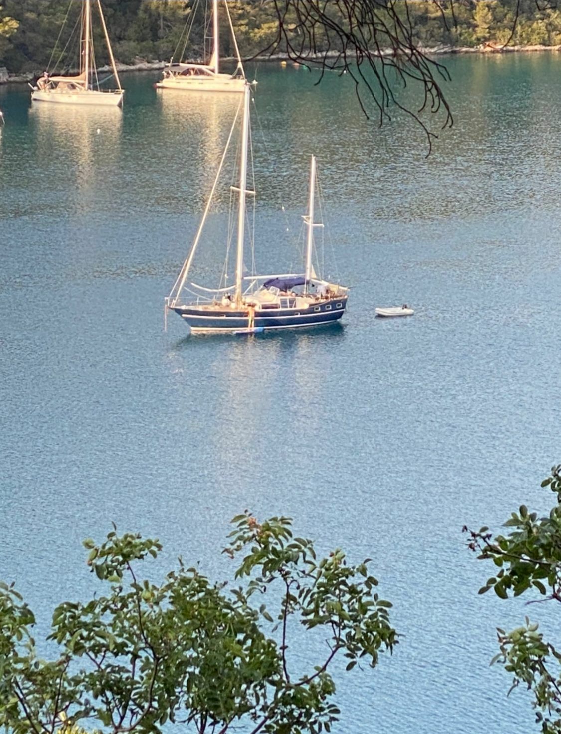 Trintella 5 | Trinity 369