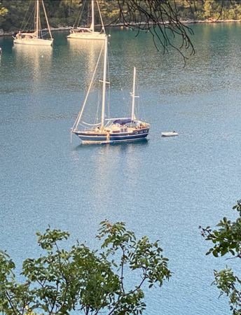 Trintella 5 | Trinity 369