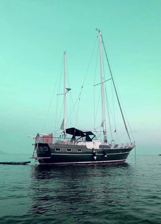 Trintella 5 | Trinity 369