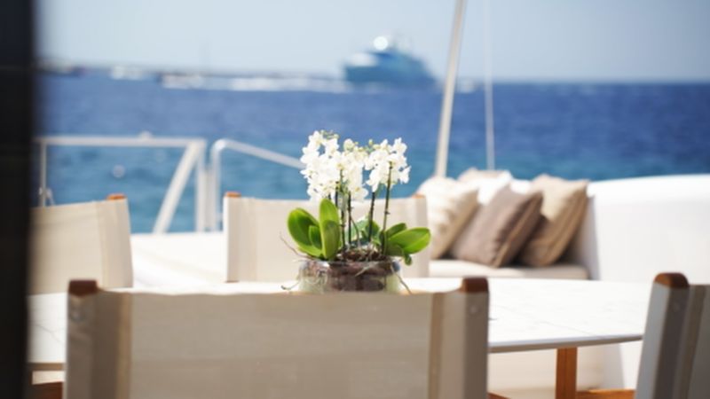 Mangusta 108 | Le Magnifique