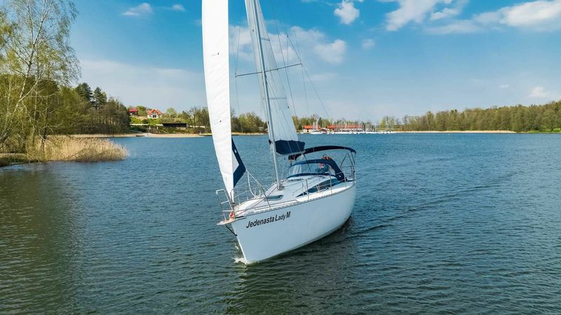 Tango 33 | 11 Lady M