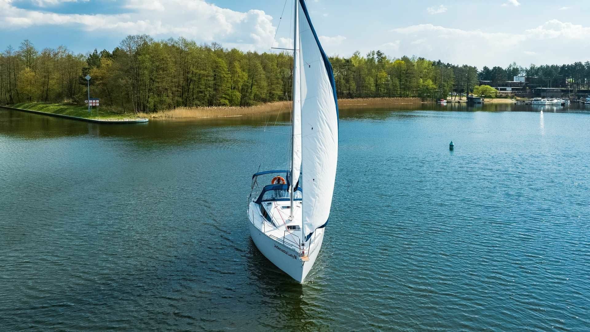 Tango 33 | 11 Lady M