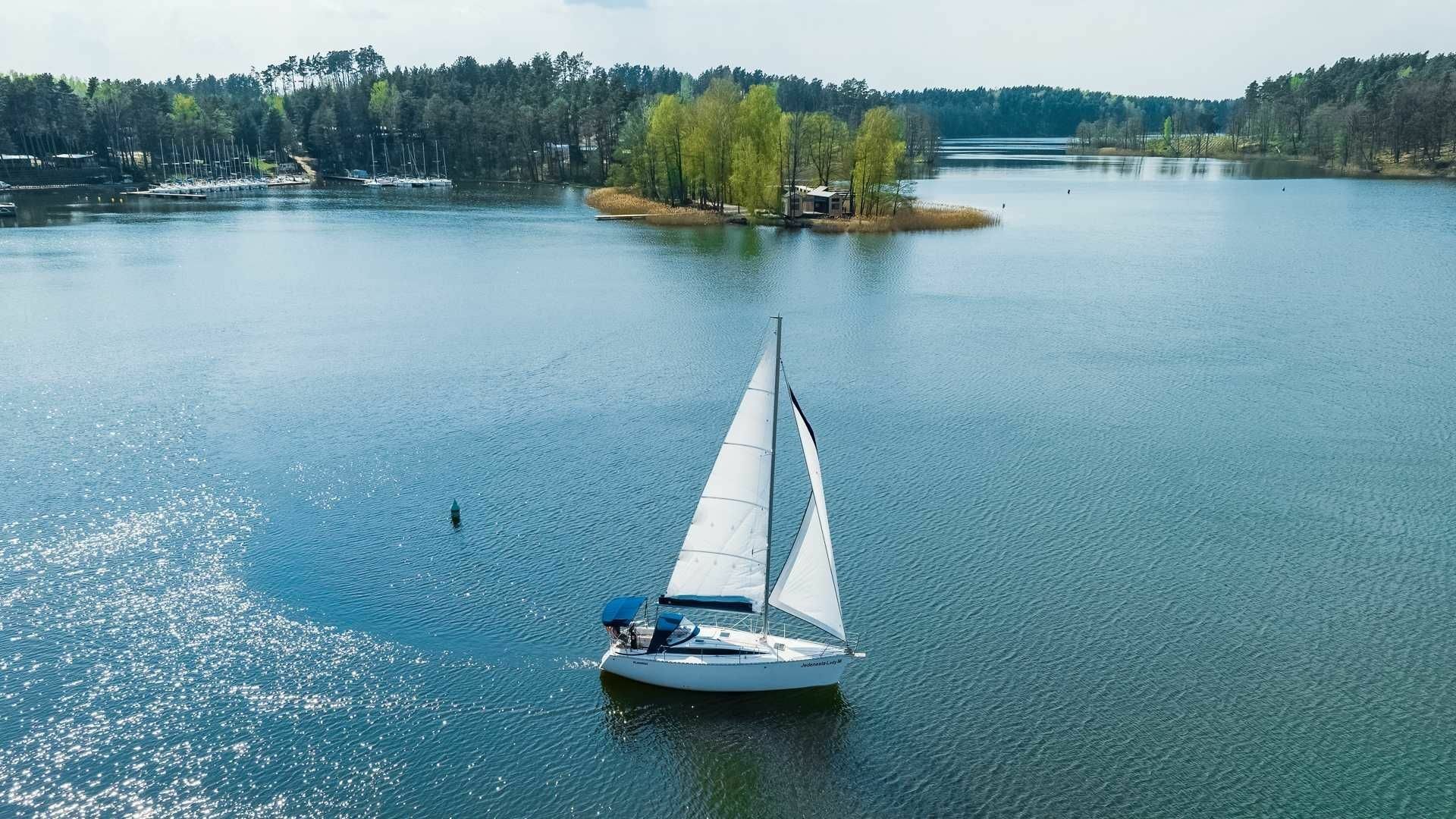 Tango 33 | 11 Lady M