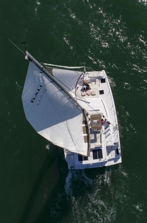 Bali Catspace | Petunia