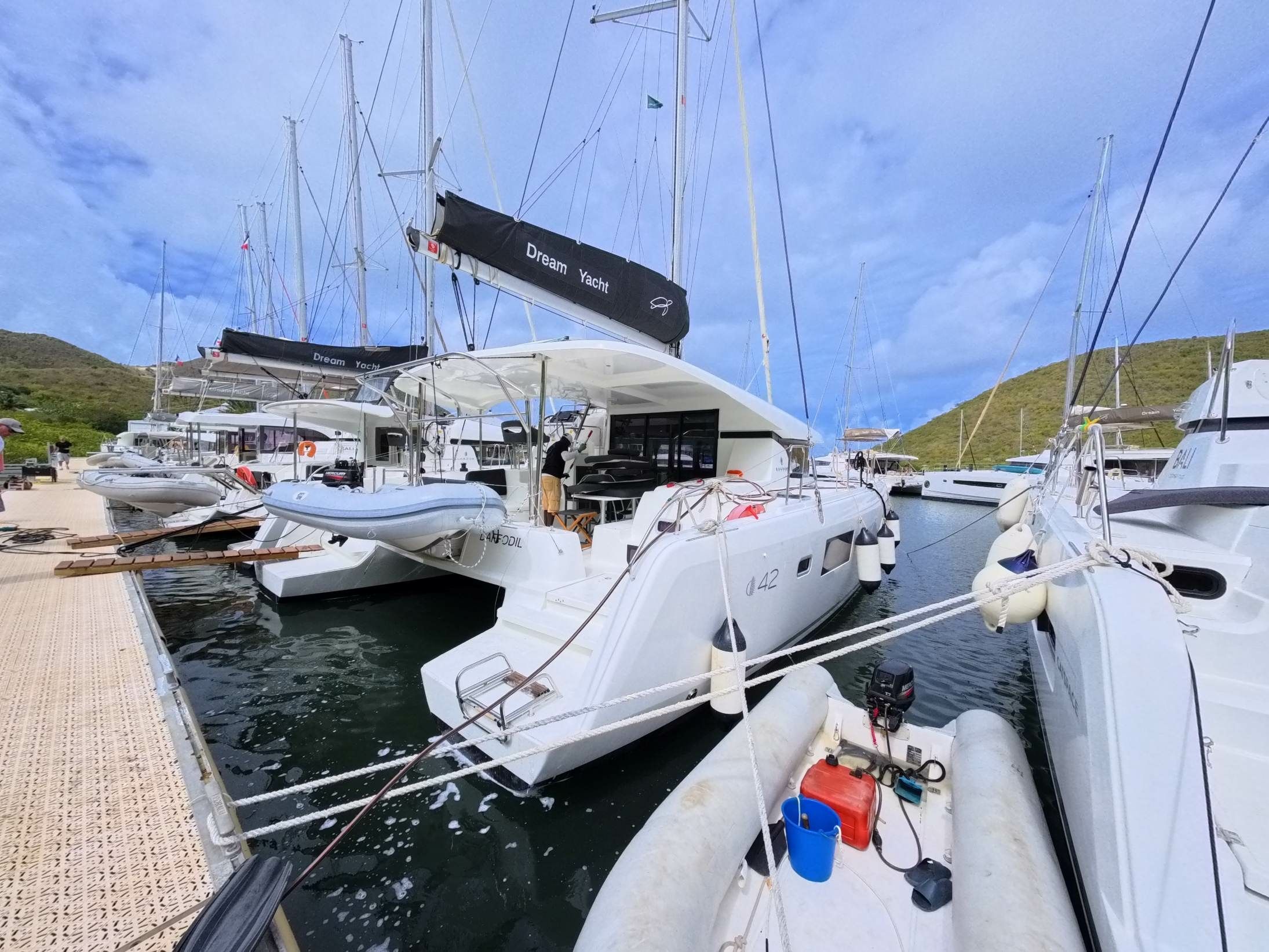 Lagoon 42 | Daffodil