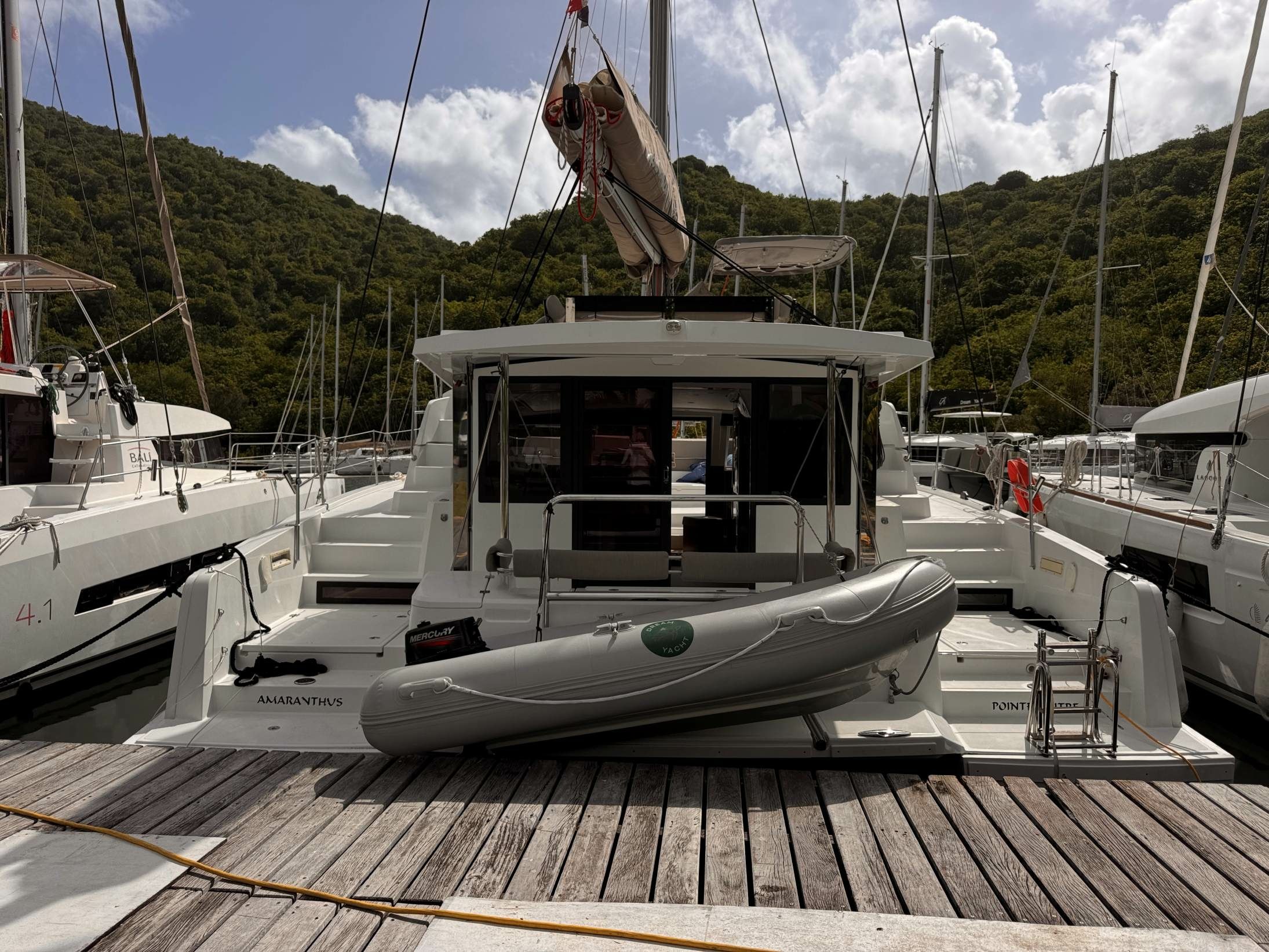 Bali 4.2 | Amaranthus