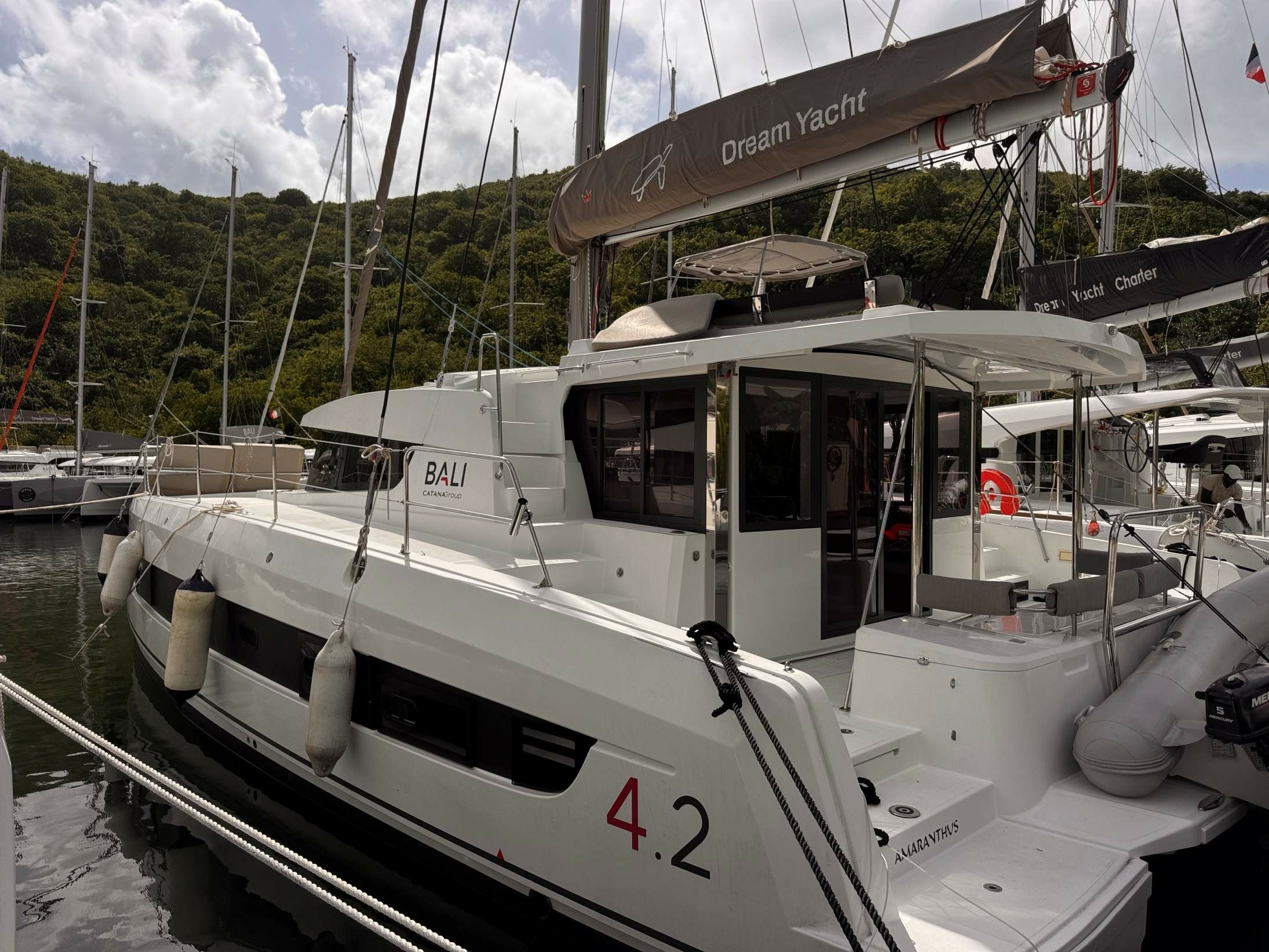 Bali 4.2 | Amaranthus