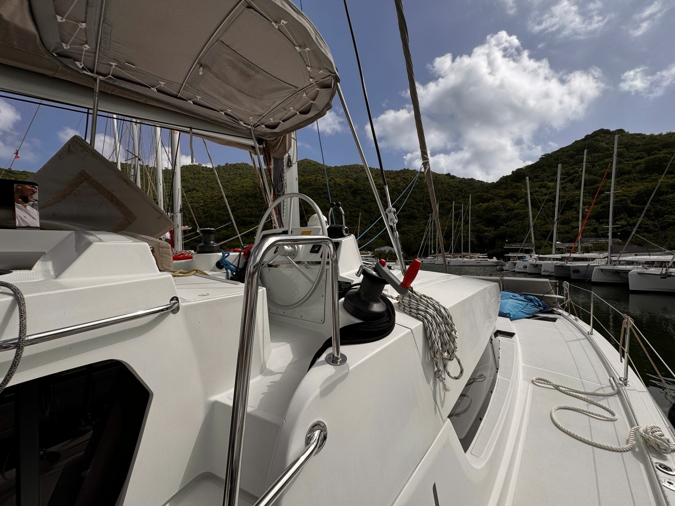 Bali 4.2 | Amaranthus