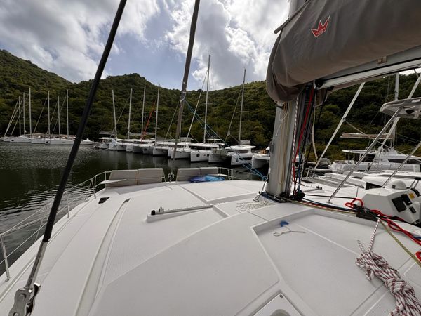 Bali 4.2 | Amaranthus