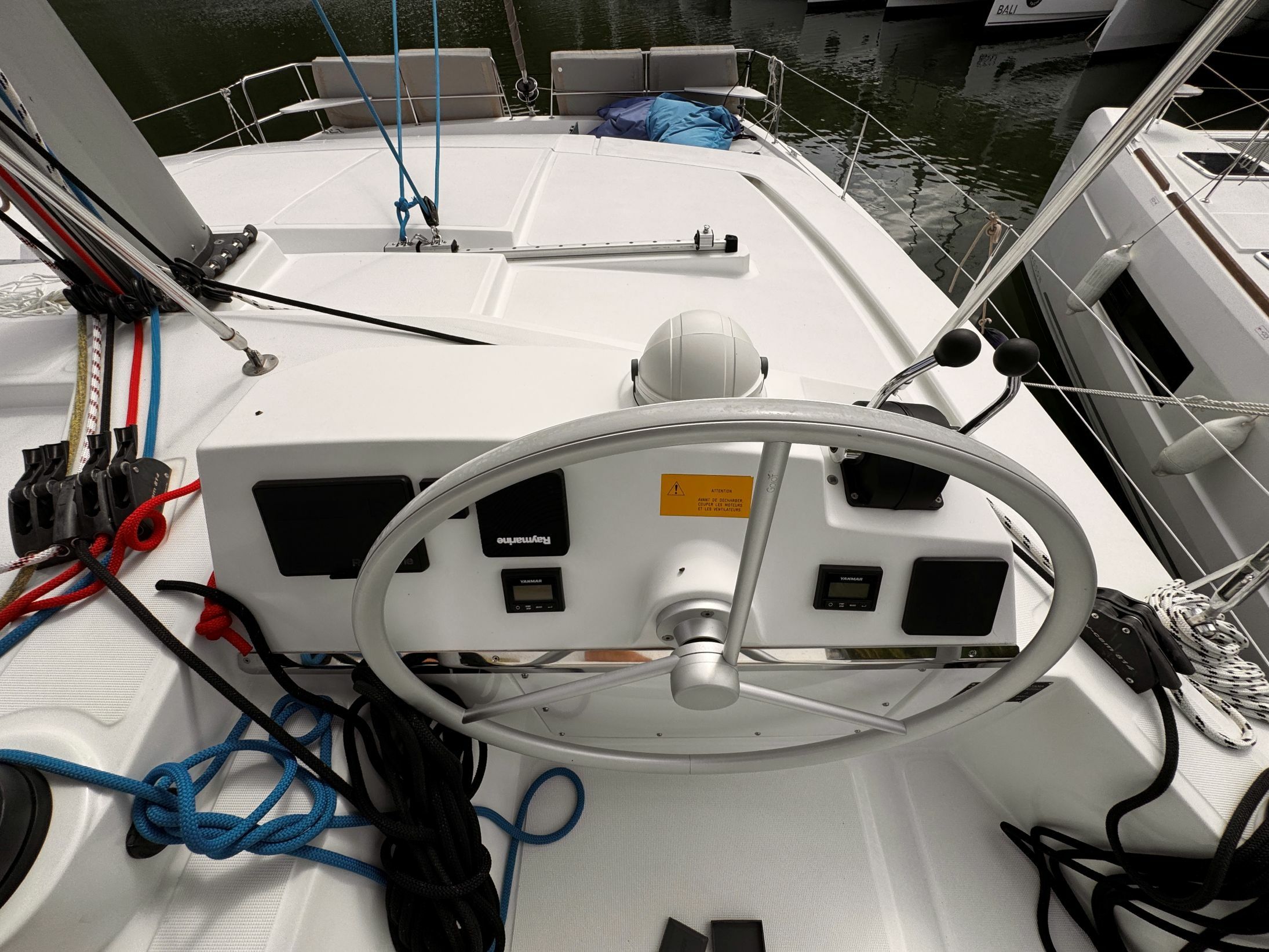 Bali 4.2 | Amaranthus