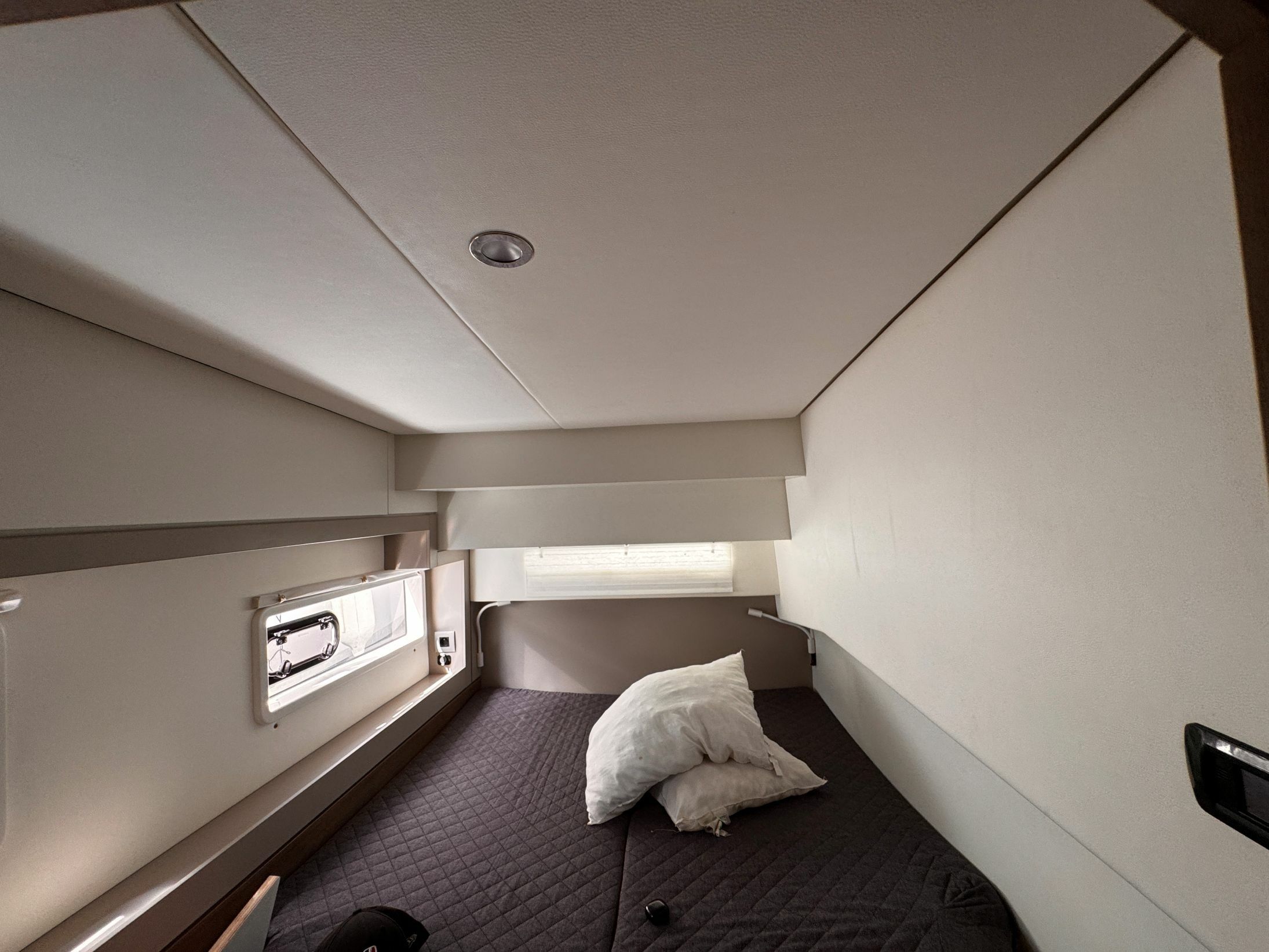 Bali 4.2 | Amaranthus