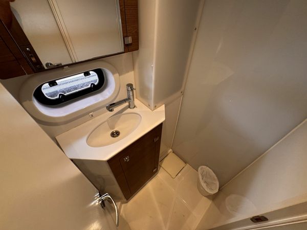 Bali 4.2 | Amaranthus