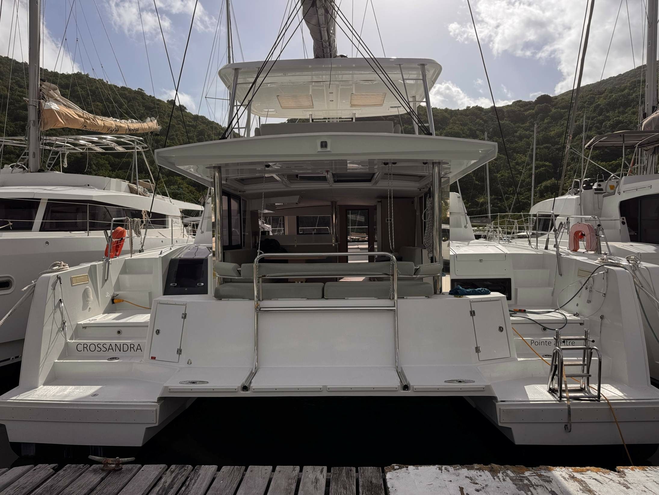 Bali 4.6 | Crossandra