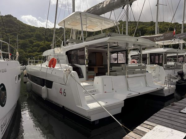 Bali 4.6 | Crossandra