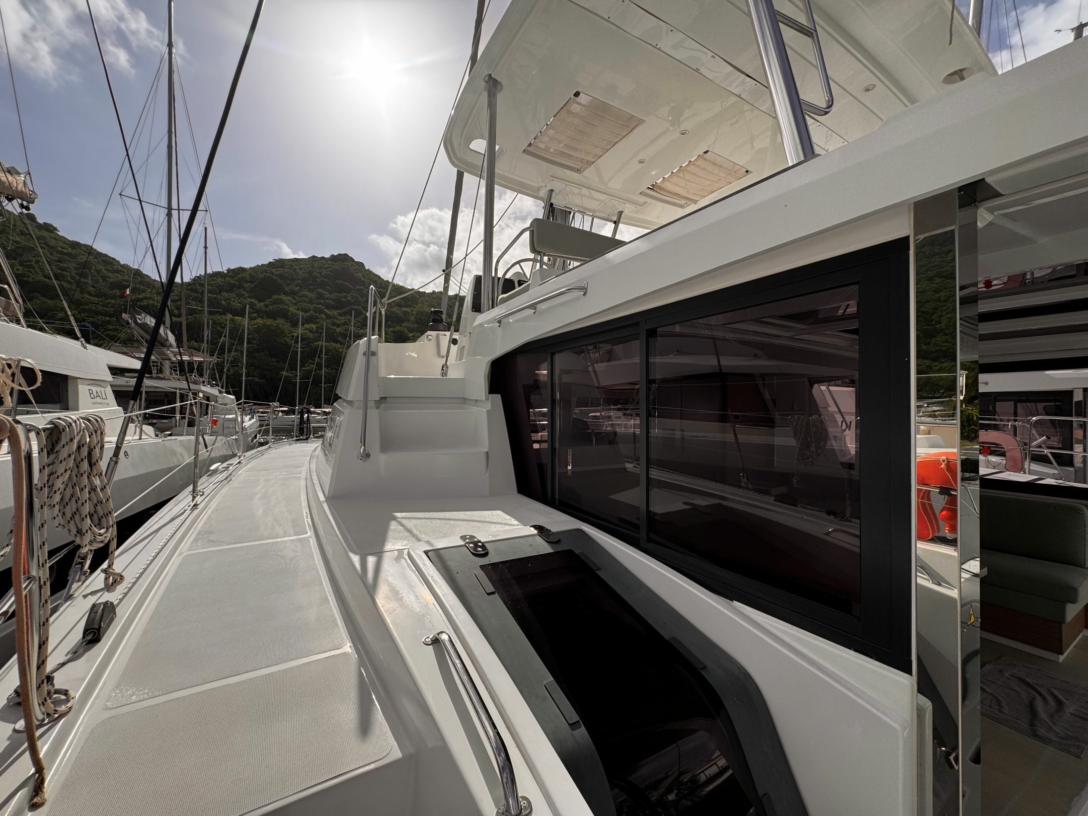 Bali 4.6 | Crossandra