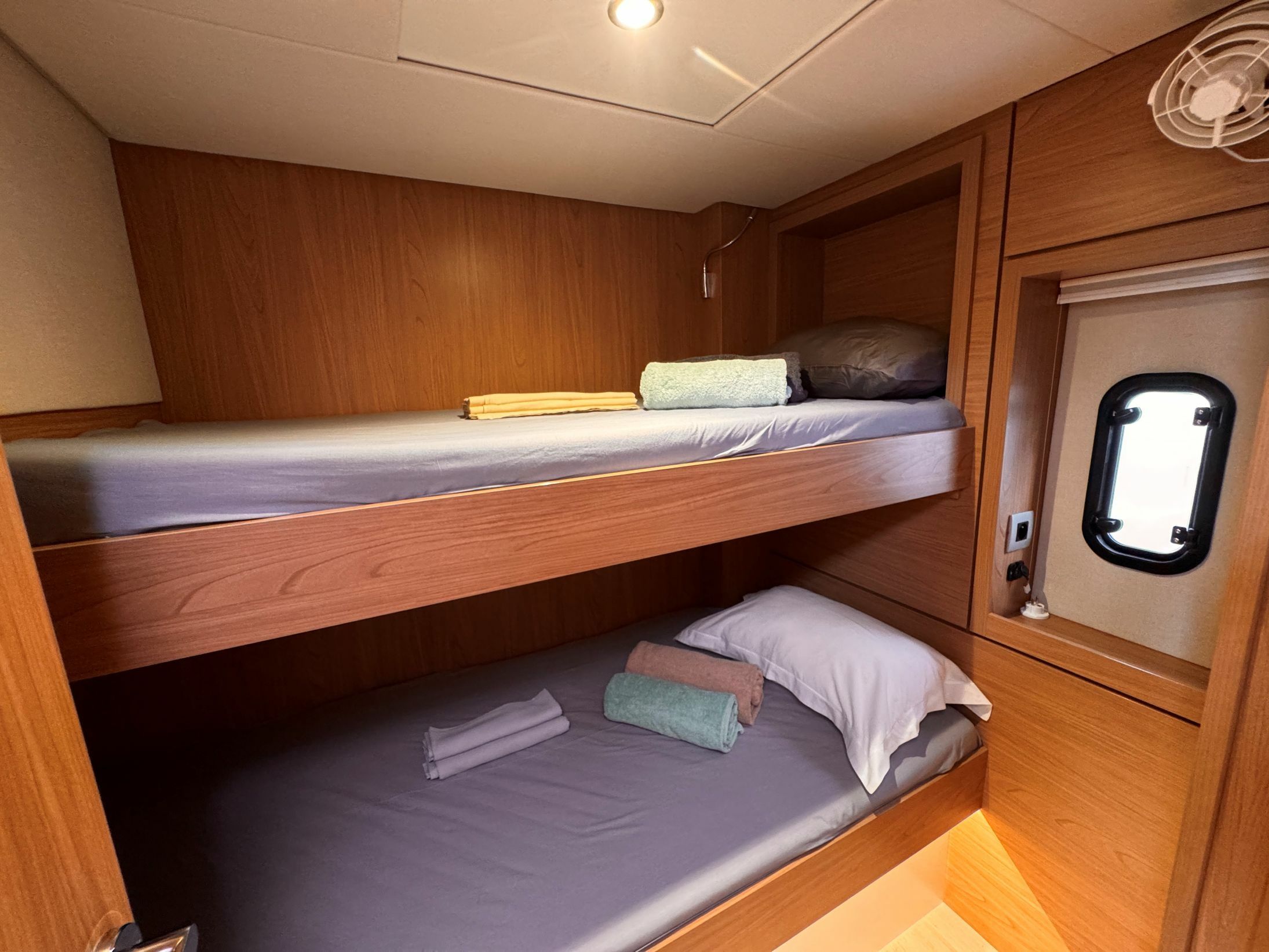 Bali 4.6 | Crossandra