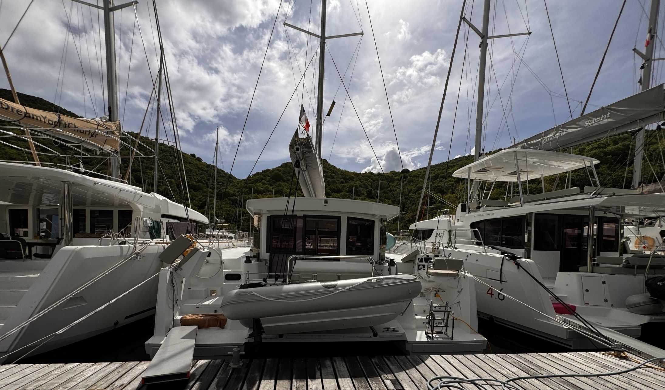 Bali Catsmart | Cherry Blossom