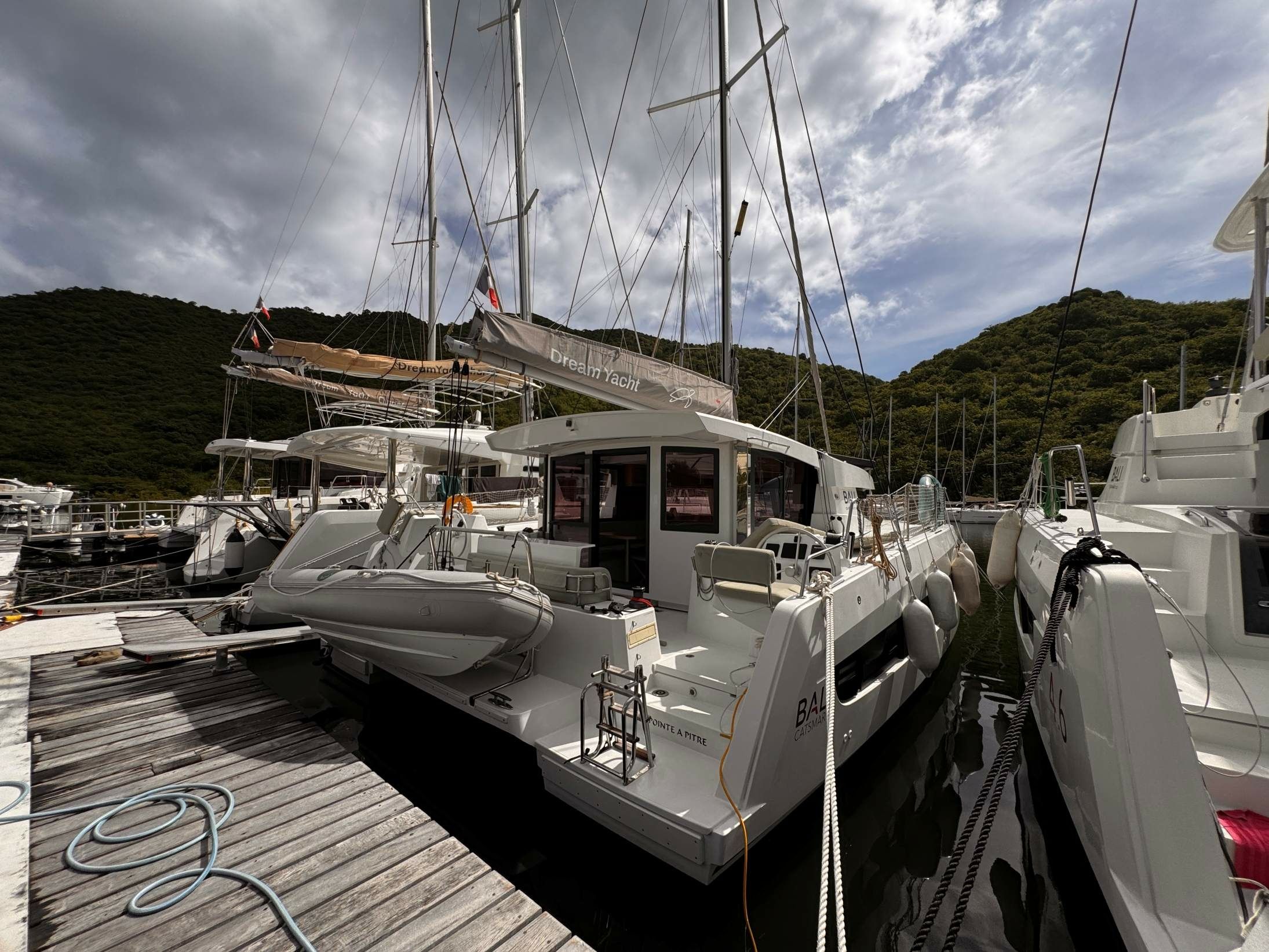 Bali Catsmart | Cherry Blossom