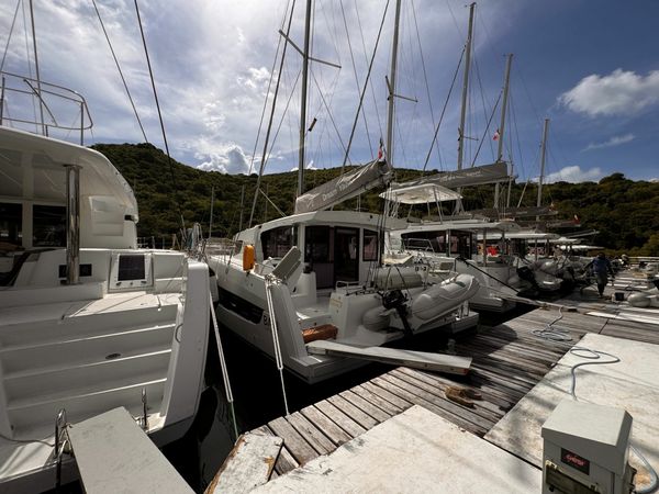 Bali Catsmart | Cherry Blossom