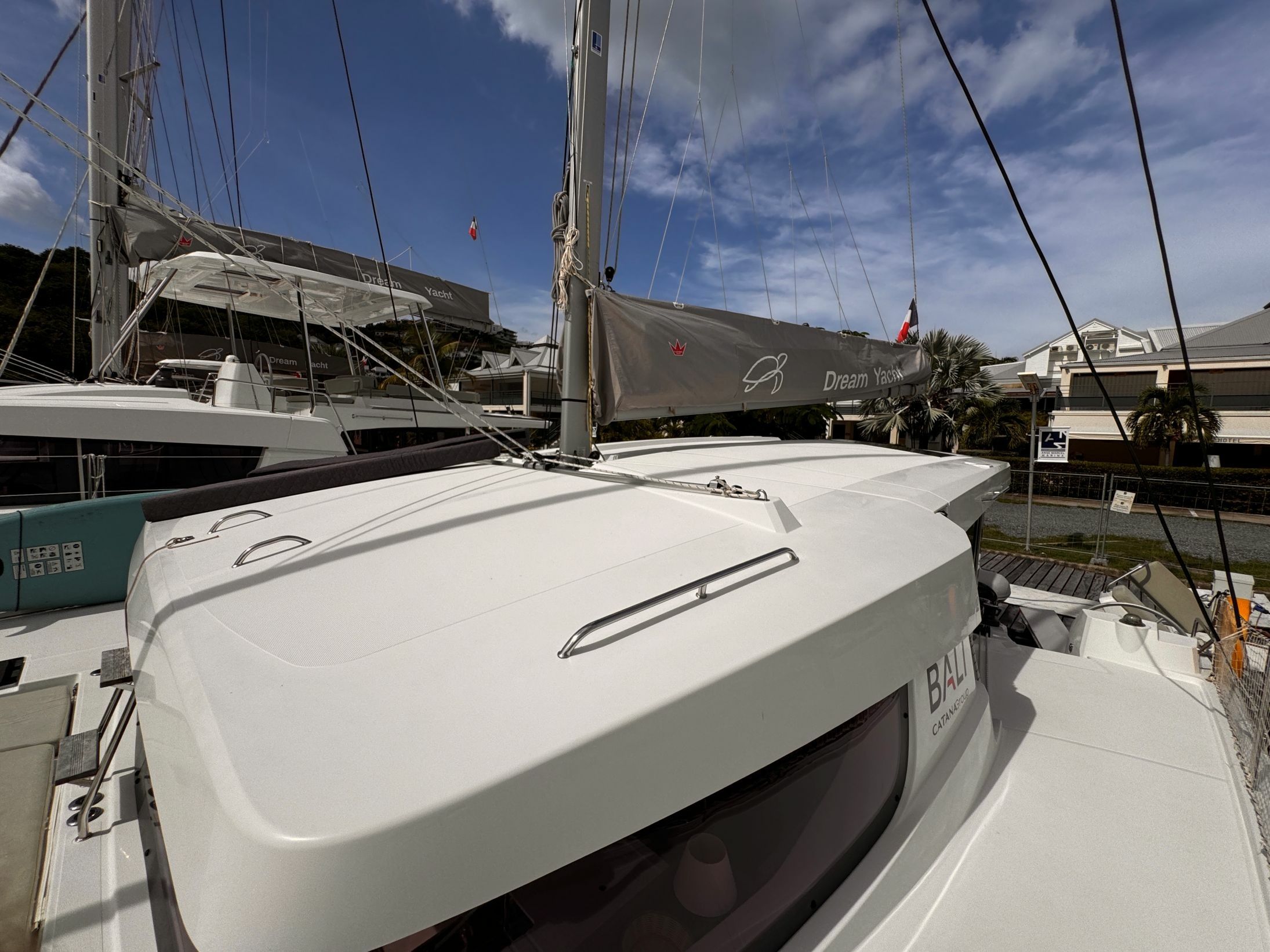 Bali Catsmart | Cherry Blossom