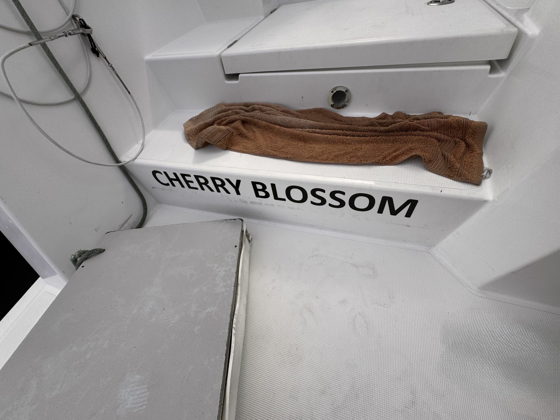 Bali Catsmart | Cherry Blossom