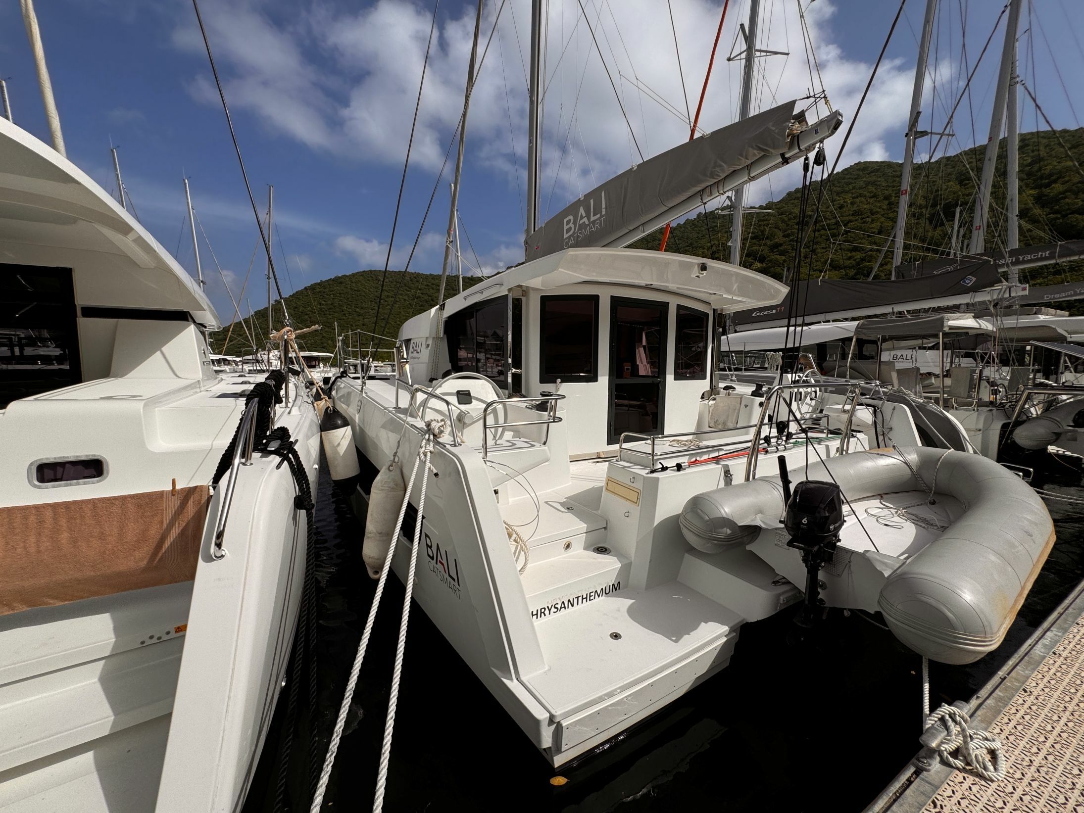 Bali Catsmart | Chrysanthemum