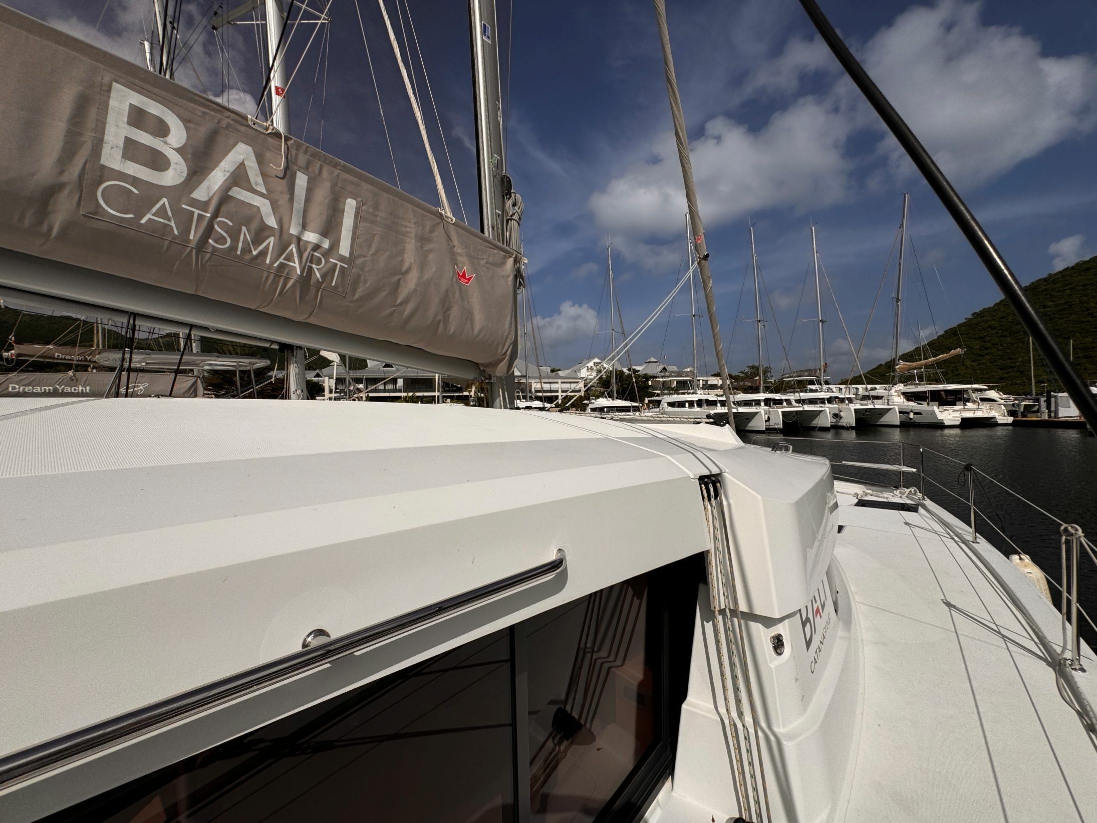 Bali Catsmart | Chrysanthemum