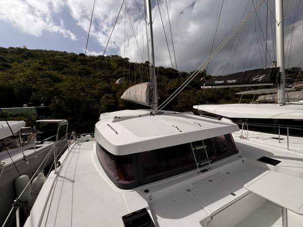 Bali Catsmart | Chrysanthemum