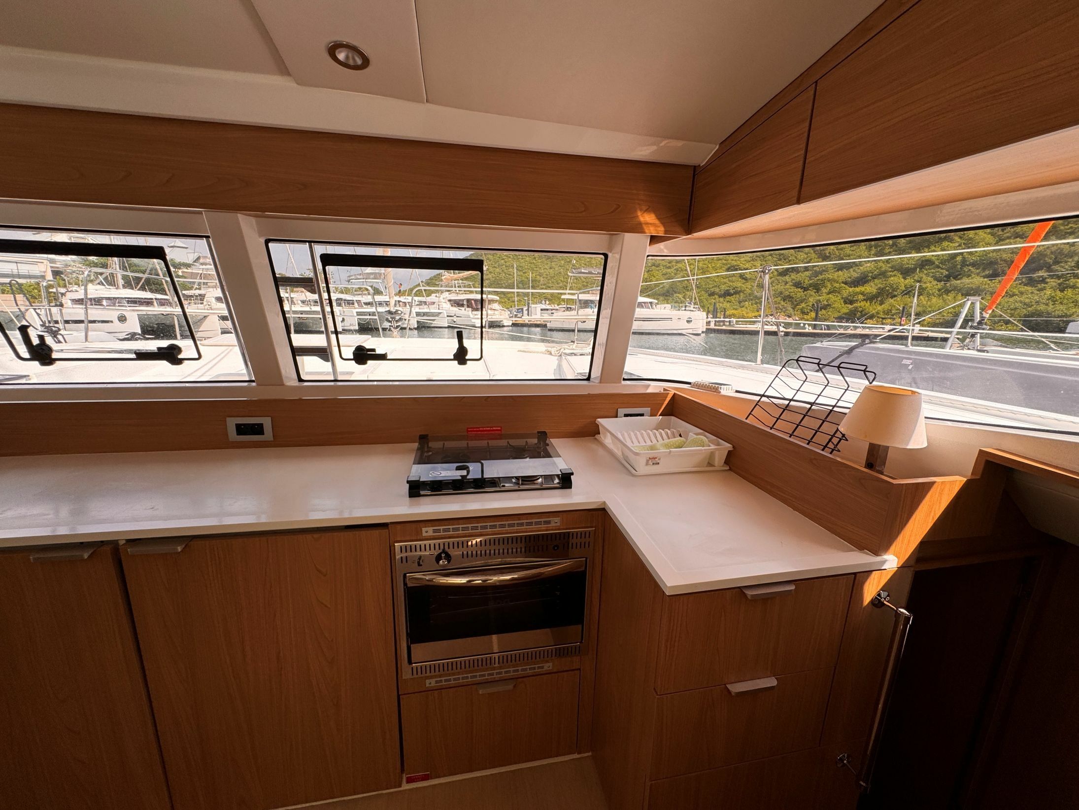 Bali Catsmart | Chrysanthemum