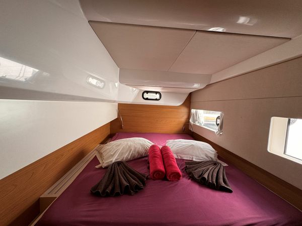 Bali Catsmart | Chrysanthemum