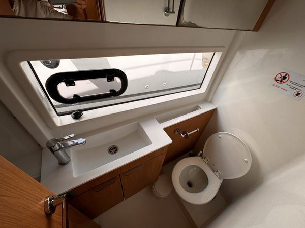 Bali Catsmart | Chrysanthemum