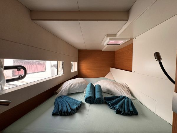 Bali Catsmart | Chrysanthemum