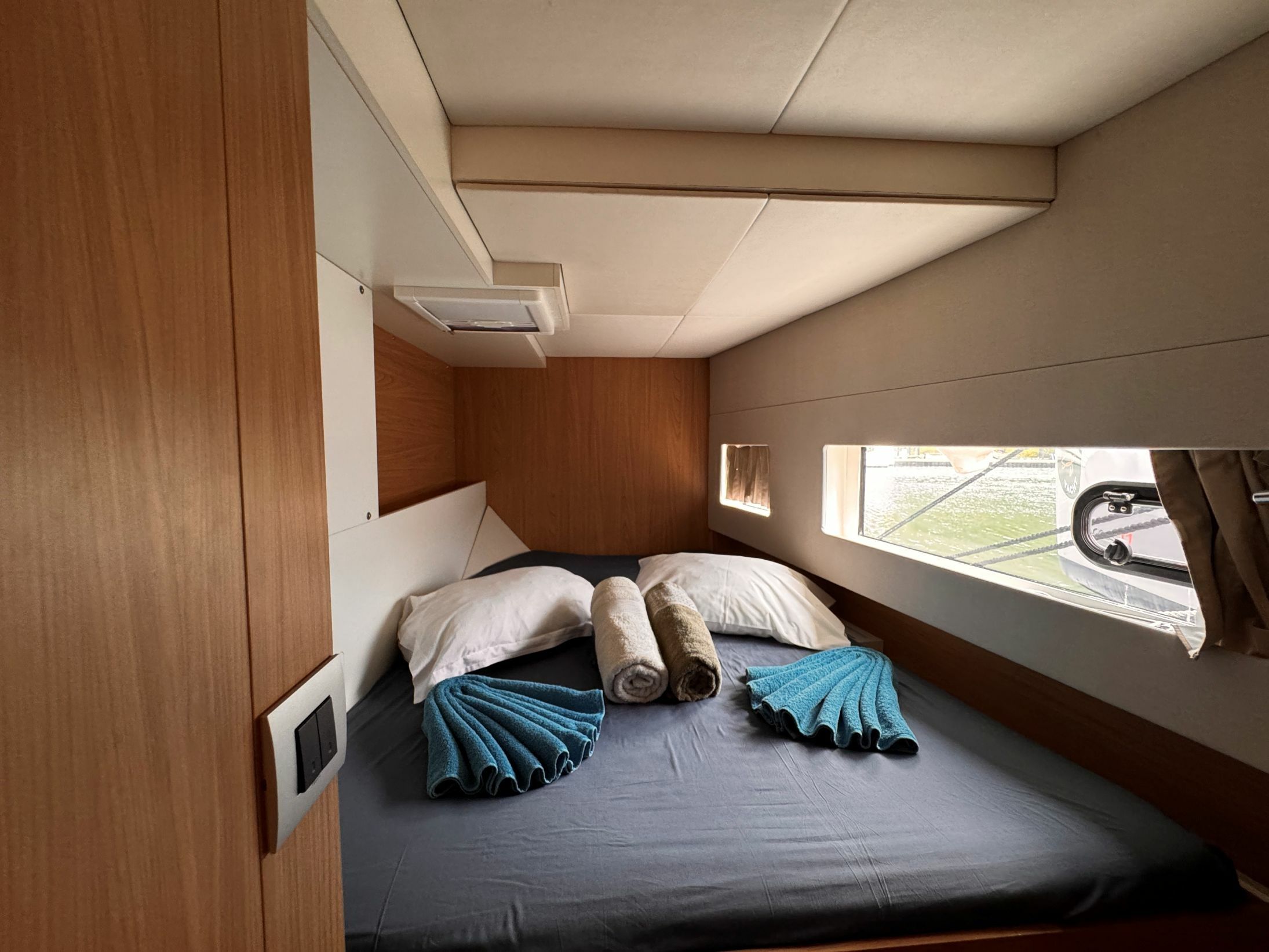 Bali Catsmart | Chrysanthemum