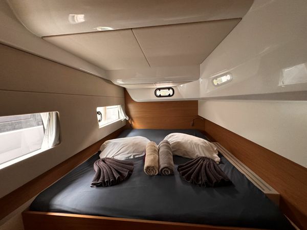 Bali Catsmart | Chrysanthemum