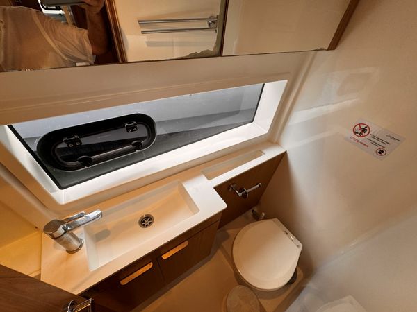 Bali Catsmart | Chrysanthemum