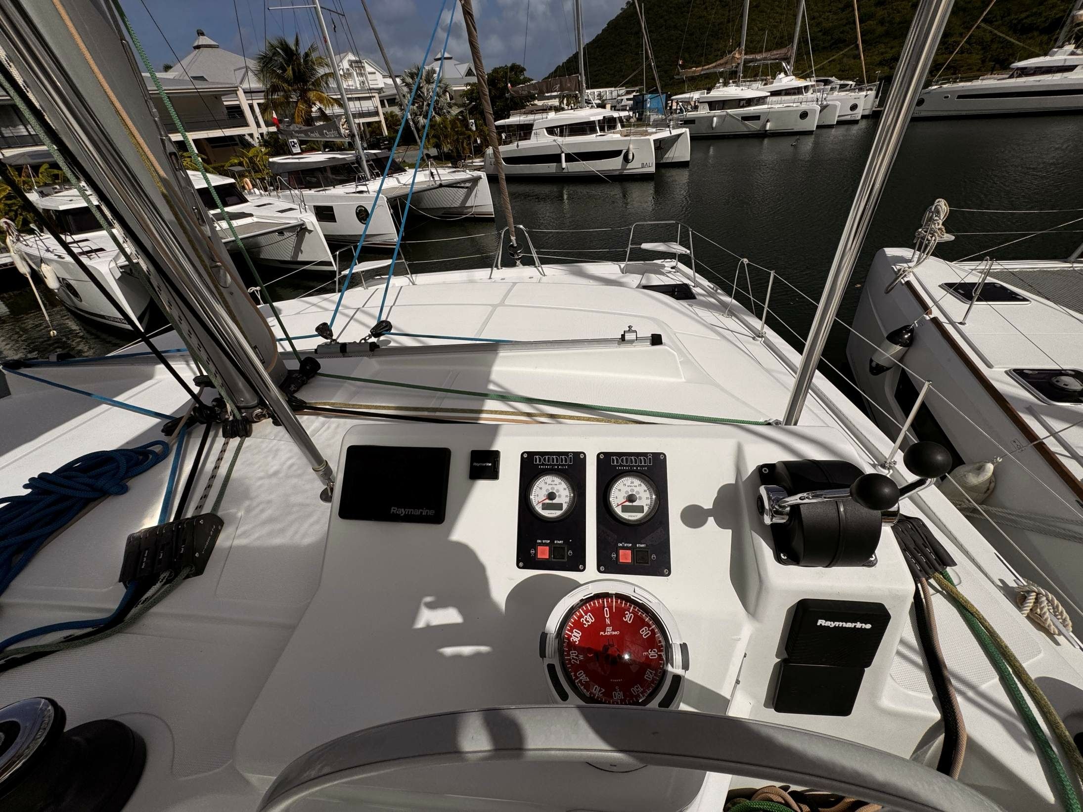 Bali Catspace | Glory Lily