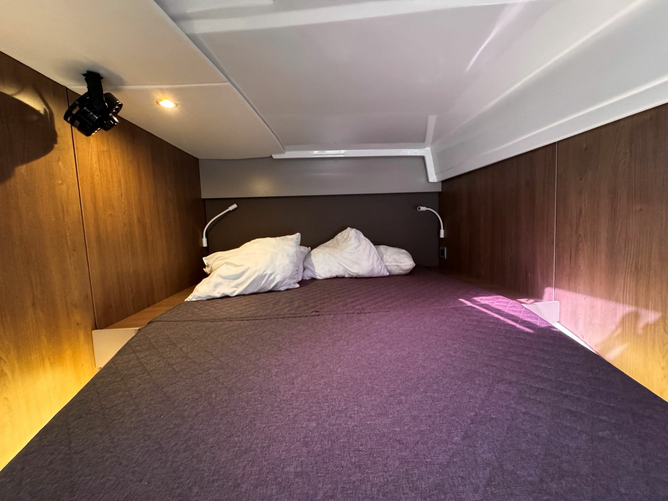 Bali Catspace | Glory Lily