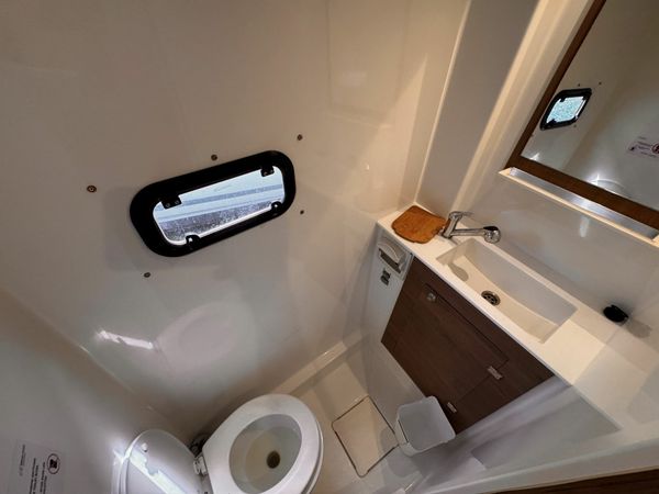 Bali Catspace | Glory Lily